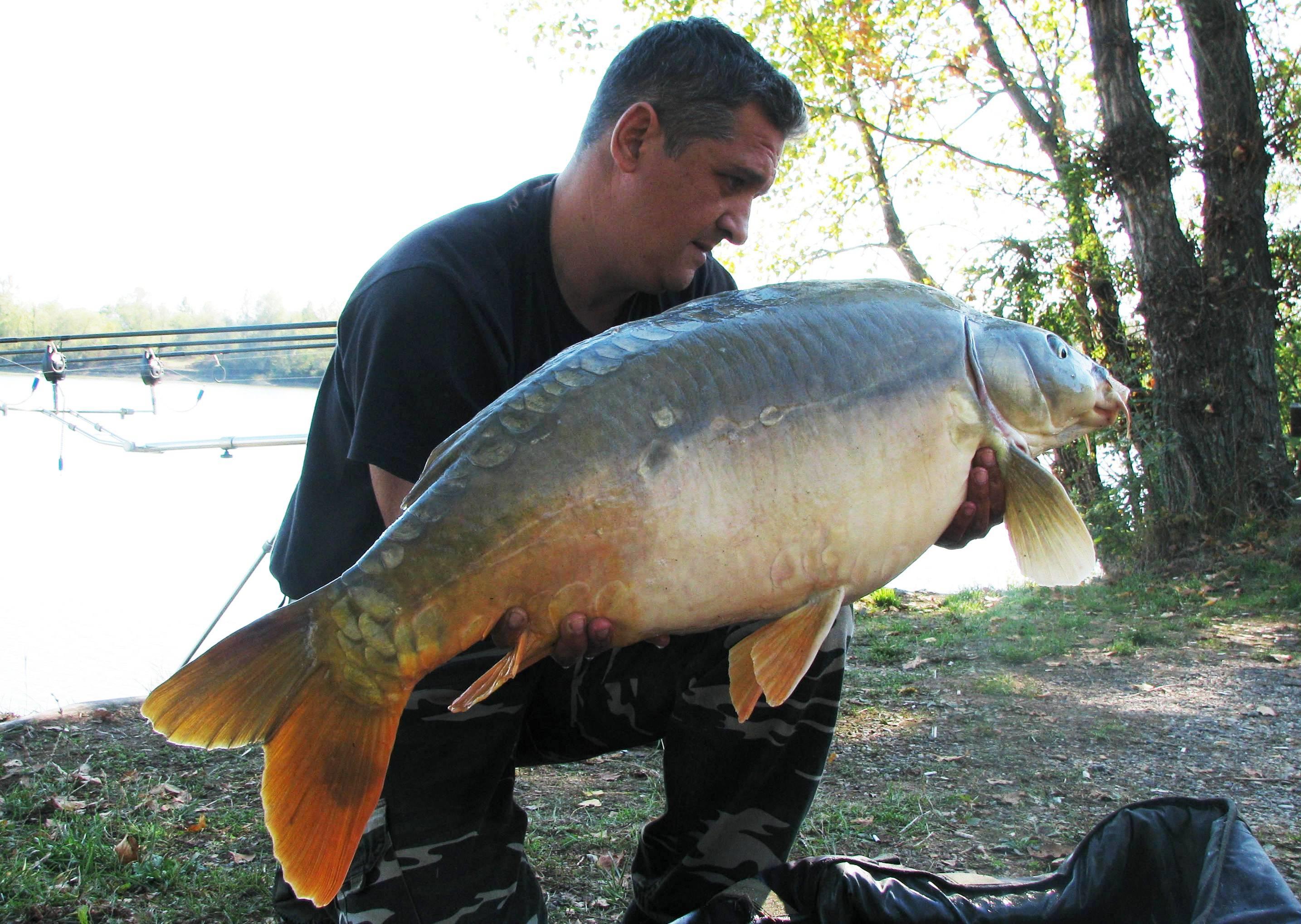 septembrie - octombrie 2012 - IMG_5297.JPG